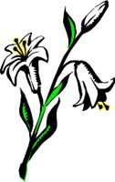 NATU0225.WMF