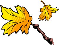 NATU0209.WMF