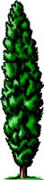 NATU0063.WMF