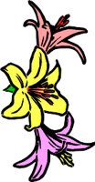 NATU0052.WMF