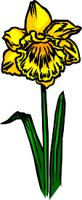 NATU0048.WMF