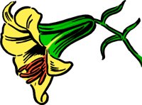 NATU0031.WMF