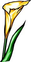 NATU0027.WMF