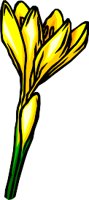 NATU0023.WMF