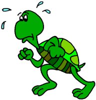 TURTLE02.PCX