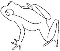 FROG05.PCX