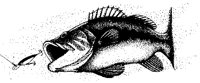 FISH16.PCX