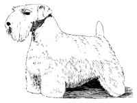 DOG41.PCX