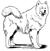 DOG38.PCX