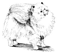 DOG34.PCX