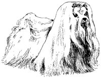 DOG32.PCX