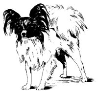 DOG29.PCX