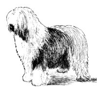 DOG28.PCX