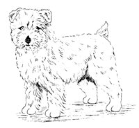 DOG27.PCX