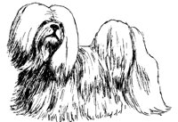 DOG26.PCX