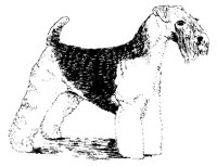 DOG25.PCX