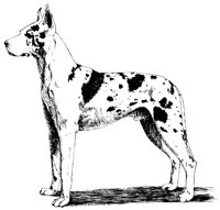 DOG21.PCX
