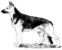 DOG19.PCX