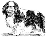 DOG17.PCX