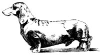 DOG13.PCX