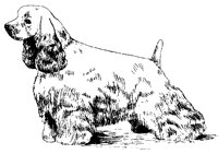 DOG11.PCX