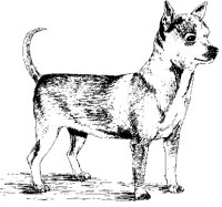DOG09.PCX