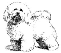 DOG05.PCX