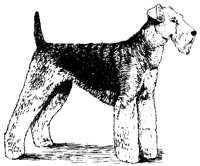 DOG03.PCX