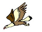 BIRD09.PCX