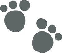 PAWS.WMF