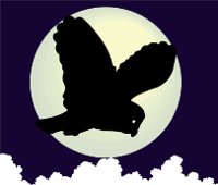 NIGHTOWL.WMF