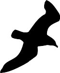 GULL.WMF