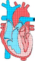 HEARTDGM.PCX