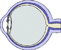 EYE.PCX