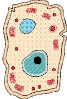CELL_ANI.PCX