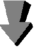 ARROWD1.BMP