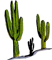 CACTUS1.TIF