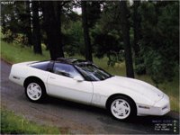 MCVETTE.GIF