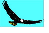 EAGLE.WPG