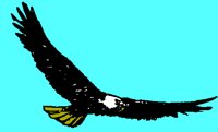 EAGLE.BMP