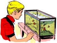 AQUARIUM.TIF