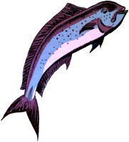 DOLPHIN.TIF