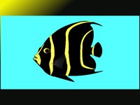 AQUA022.BMP