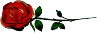 ROSE2.TIF