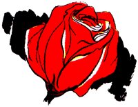 ROSE.TIF