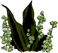 LILVALLY.TIF