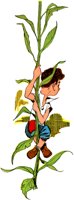 JACK.TIF