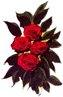 HOLLYHOK.TIF