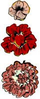 FLOWERS.TIF