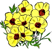 FLAX.TIF